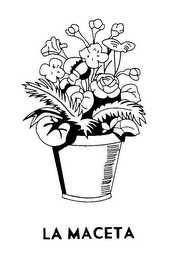 LA MACETA