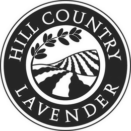 HILL COUNTRY LAVENDER