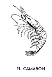 EL CAMARON