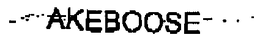 AKEBOOSE GMBH