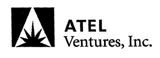 ATEL VENTURES, INC.