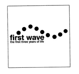 FIRST WAVE THE FIRST THREE YEARS