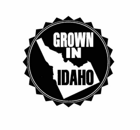 GROWN IN IDAHO