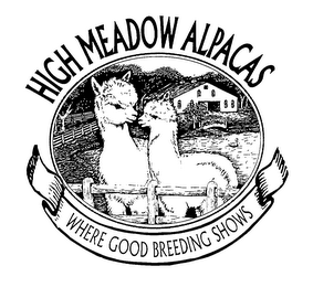 HIGH MEADOW ALPACAS WHERE GOOD BREEDING SHOWS