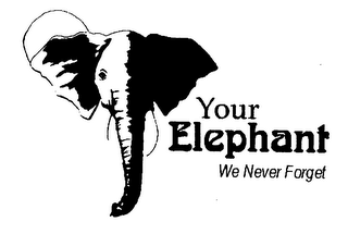 YOUR ELEPHANT WE NEVER FORGET