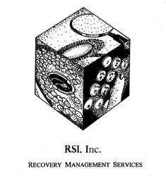 RSI, INC. RECOVERY MANAGEMENT SERVICES