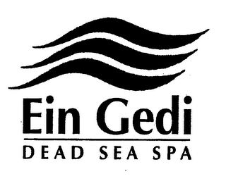 EIN GEDI DEAD SEA SPA