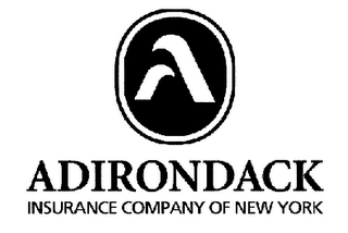 A ADIRONDACK INSURANCE COMPANY OF NEW YORK