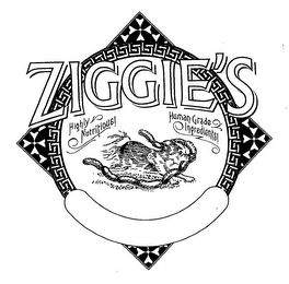 ZIGGIE'S HIGHLY NUTRITIOUS HUMAN GRADE INGREDIENTS