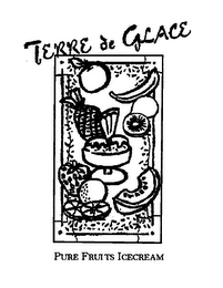 TERRE DE GLACE PURE FRUITS ICECREAM