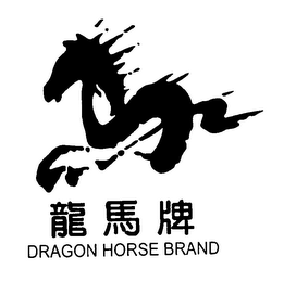 DRAGON HORSE BRAND