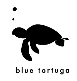 BLUE TORTUGA