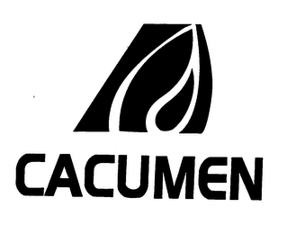 CACUMEN