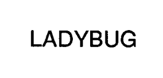 LADYBUG