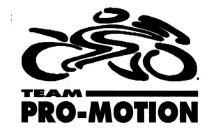 TEAM PRO-MOTION