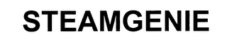 STEAMGENIE
