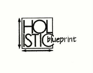 HOLISTIC BLUEPRINT