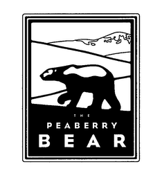 THE PEABERRY BEAR