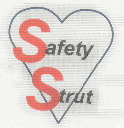SAFETY STRUT