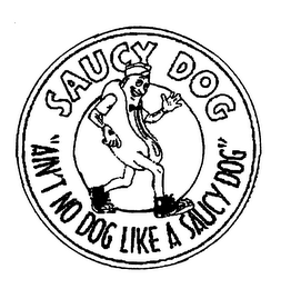 SAUCY DOG "AIN'T NO DOG LIKE A SAUCY DOG"