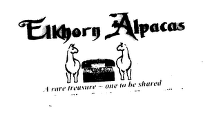 ELKHORN ALPACAS A RARE TREASURE - ONE TO BE SHARED