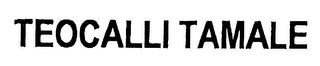 TEOCALLI TAMALE