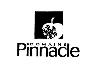 DOMAINE PINNACLE