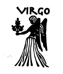 VIRGO