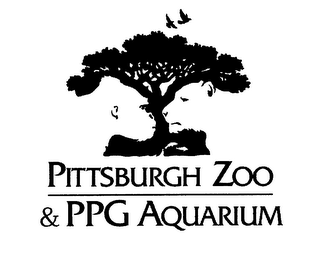 PITTSBURGH ZOO & PPG AQUARIUM