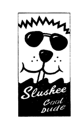 SLUSHEE COOL DUDE