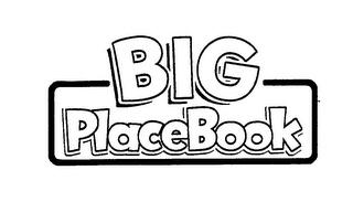 BIG PLACEBOOK