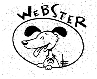 WEBSTER