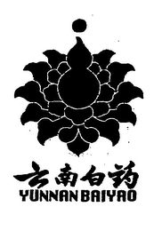 YUNNAN BAIYAO