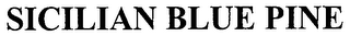 SICILIAN BLUE PINE