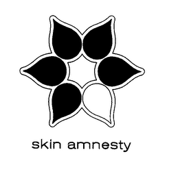 SKIN AMNESTY