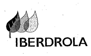 IBERDROLA