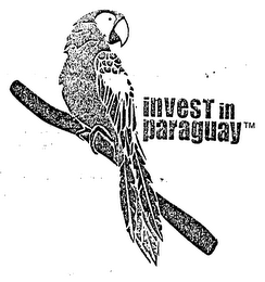 INVEST IN PARAGUAY