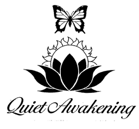 QUIET AWAKENING