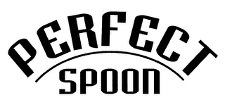 PERFECT SPOON