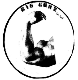 BIG GUNZ