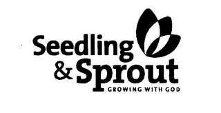 SEEDLING & SPROUT GROWING WITH GOD