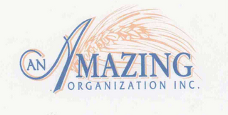 AN AMAZING ORGANIZATION, INC.