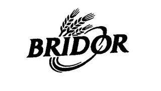 BRIDOR