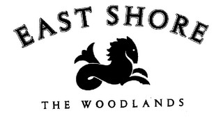 EAST SHORE THE WOODLANDS