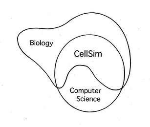 BIOLOGY CELLSIM COMPUTER SCIENCE