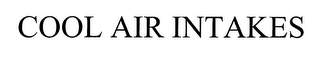 COOL AIR INTAKES