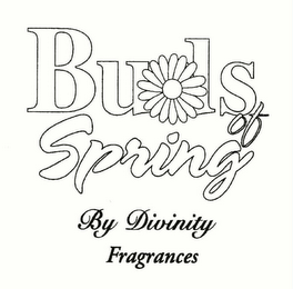 BUDS OF SPRING BY DIVINITY FRAGRANCES