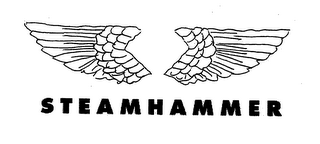 STEAMHAMMER