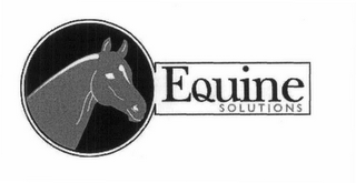 EQUINE SOLUTIONS