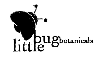 LITTLE BUG BOTANICALS